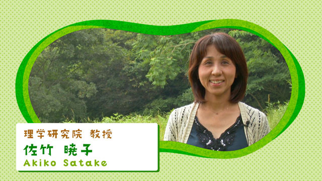 佐竹教授